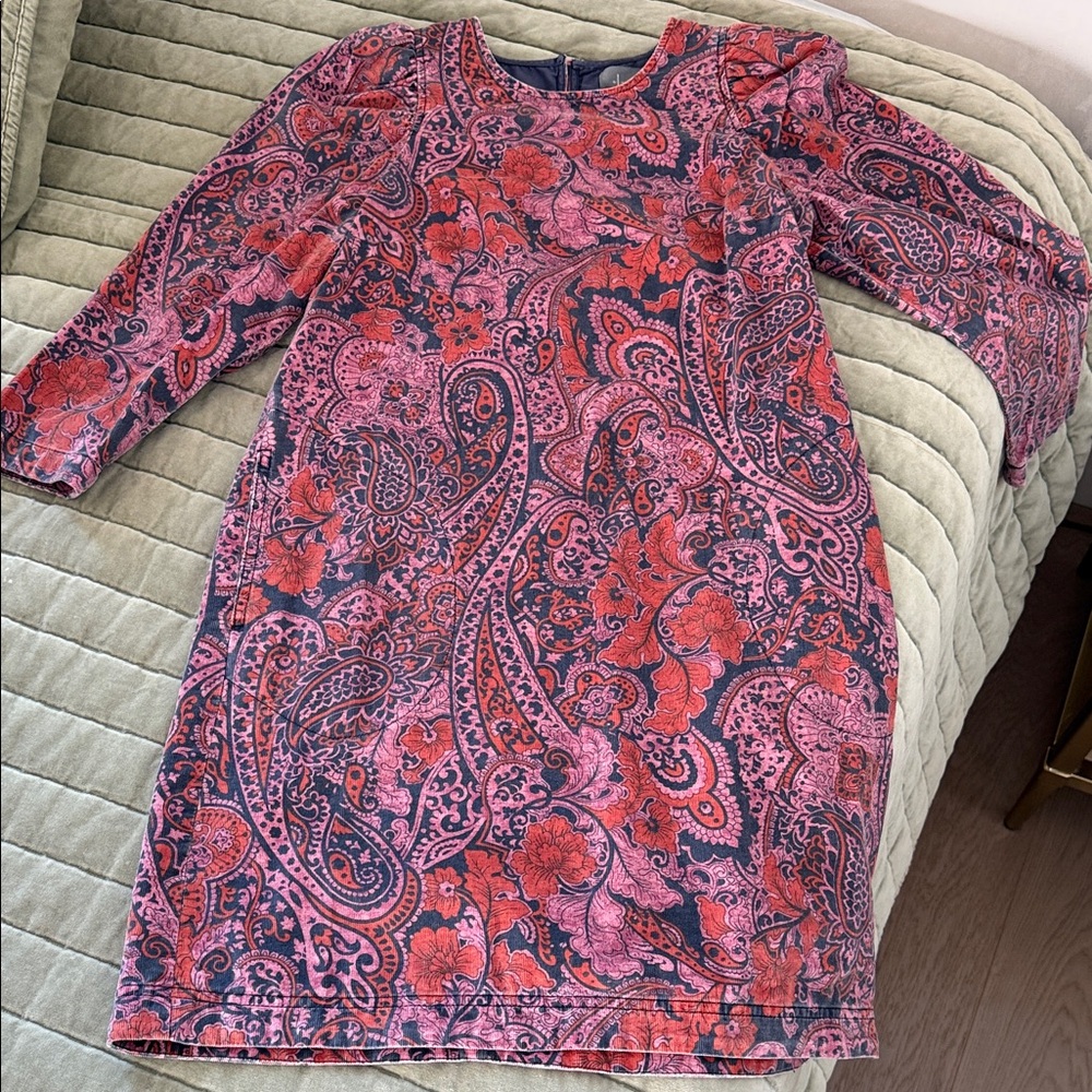 Anthropologie Pink and Red Paisley Long Sleeve Dress